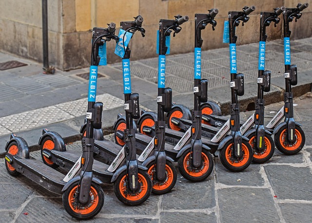 Accessori per passeggiate e trasporto